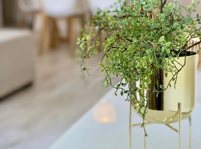 White Downtown Apartamento *