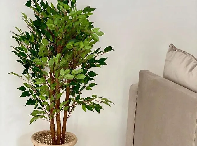 White Downtown * Albufeira