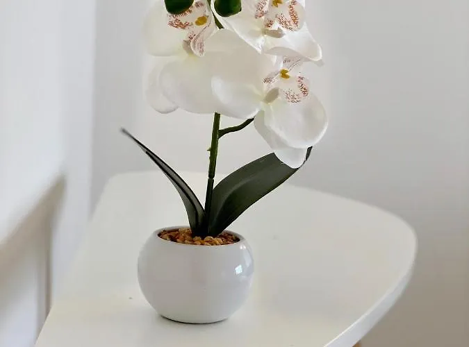 Apartamento White Downtown