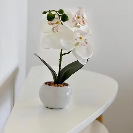 Apartman White Downtown