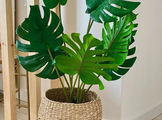 White Downtown דירה אלבופיירה