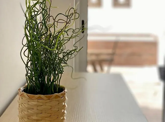 דירה White Downtown אלבופיירה